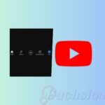 YouTube Introduces Updated Bottom Bar for Android Users