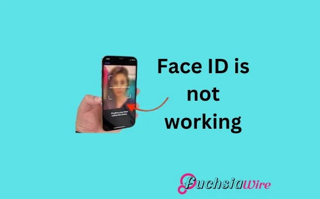 Fingerprint and Face Unlock Issues