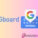 Gboard for Android Gets a Subtle Dynamic Color Theme