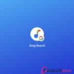 Song Search History