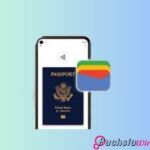 How to add your passport to Google Wallet