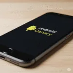 Android Canary 2507