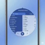Song Search History